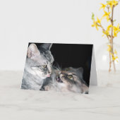 Carte Bonne fête des frères et soeurs ! (Fleur jaune)