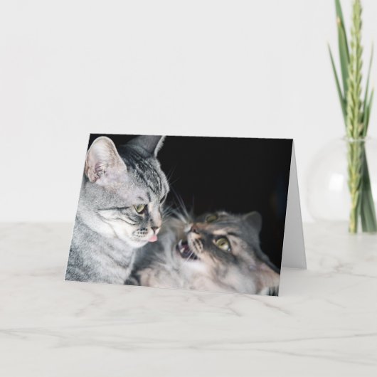 Carte Bonne fête des frères et soeurs ! (Devant)