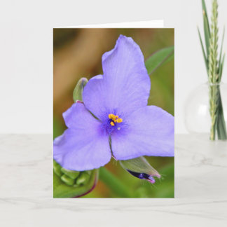 Carte Bonne fête des mères !