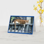 Carte Bonne fête des mères du chat (Fleur jaune)