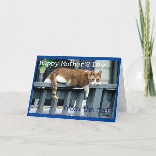 Carte Bonne fête des mères du chat