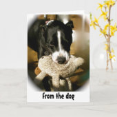 Carte Bonne Fête des pères du chien (Fleur jaune)