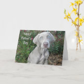 Carte Bonne Fête des pères ... Du Chien Weimaraner (Fleur jaune)