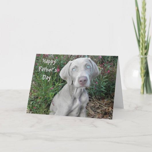 Carte Bonne Fête des pères ... Du Chien Weimaraner (Devant)