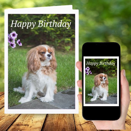 Carte Bonne Fleurs d'Anniversaire Cavalier King Spaniel 