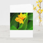 Carte Bonne nuit !. (Fleur jaune)