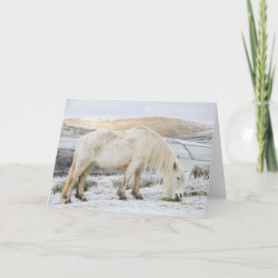 Carte Bonnet blanc sur la Mer en hiver