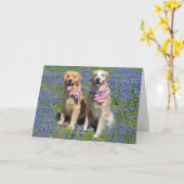 Carte Bonnet Bleu Golden Retriever (Fleur jaune)