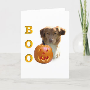 Carte Boo à canard de la Nouvelle-Écosse