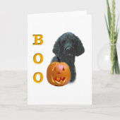 Carte Boo de caniche noir (Devant)