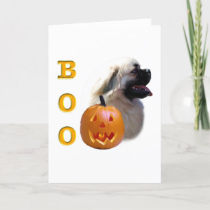 Carte Boo espagnol tibétain