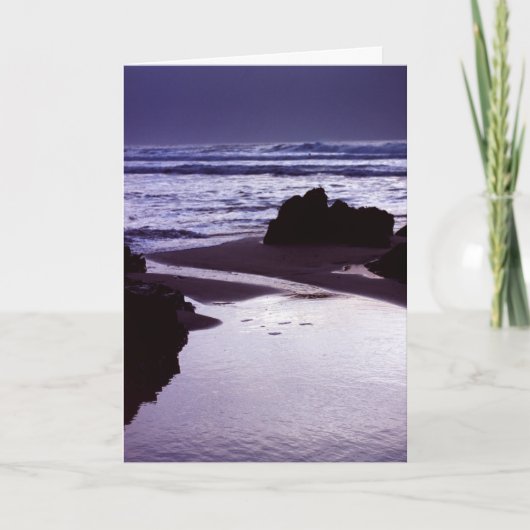 Carte Boobys Bay (Devant)