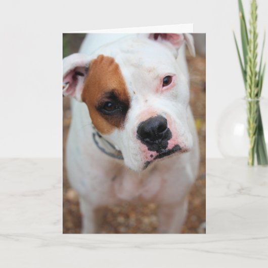 Carte Boop (Devant)