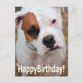 Carte Boop Anniversaire (Devant)