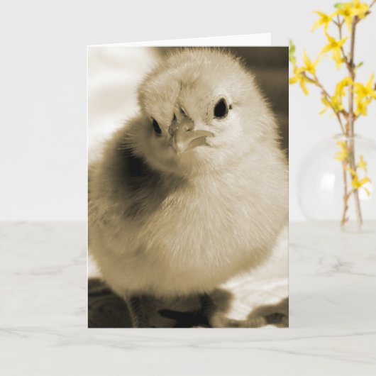 Carte Boot's Chick in Sepia Toutes les occasions Blank I (Fleur jaune)