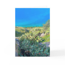 Bord de mer Cactus Nauplie Grèce