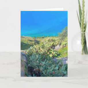 Carte Bord de mer Cactus Nauplie Grèce