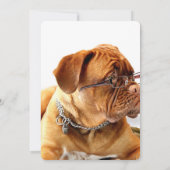 Carte Bordeaux Mastiff, poison de French Mastiff Bordeau (Dos)