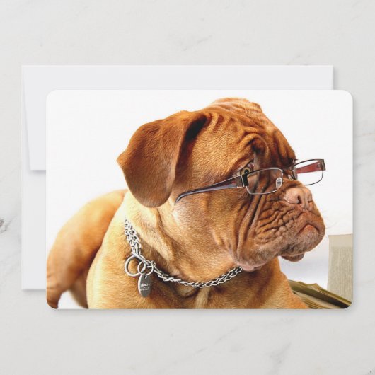 Carte Bordeaux Mastiff, poison de French Mastiff Bordeau (Devant)