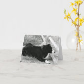 Carte Border collie (Fleur jaune)