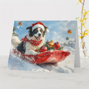 Carte Border Collie Chien en Luge Laissez-le Neiger Noël
