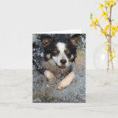 Carte border collie courant dans l'eau (Fleur jaune)
