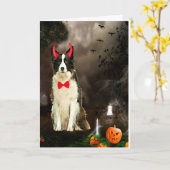 Carte Border Collie en costume d'Halloween  (Fleur jaune)
