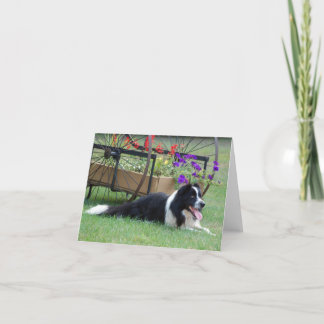 Carte Border Collie & Flower Cart Note Card