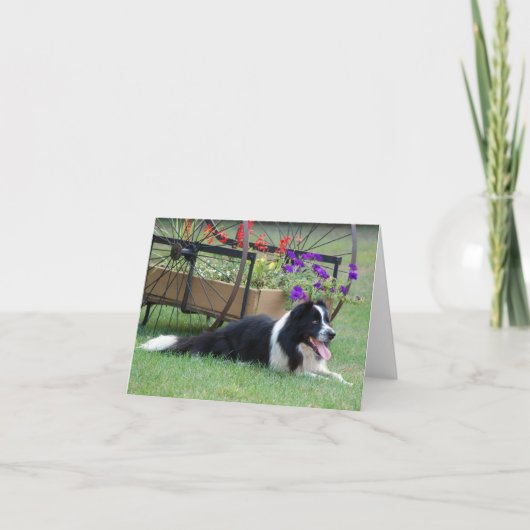 Carte Border Collie & Flower Cart Note Card (Devant)