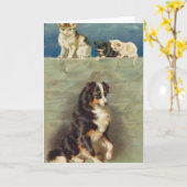 Carte Border Collie Notecard (Fleur jaune)