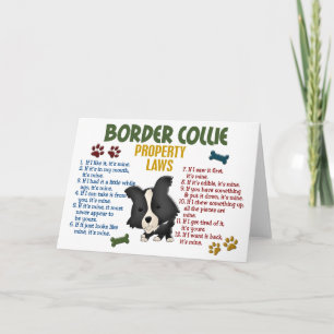 Carte Border Collie Property Laws 4