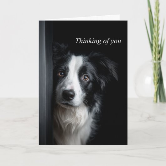 Carte Border Collie qui vous vient à l'esprit (Devant)