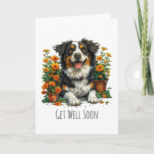 Carte Border Collie Remets-Toi Vite Dans Les Fleurs