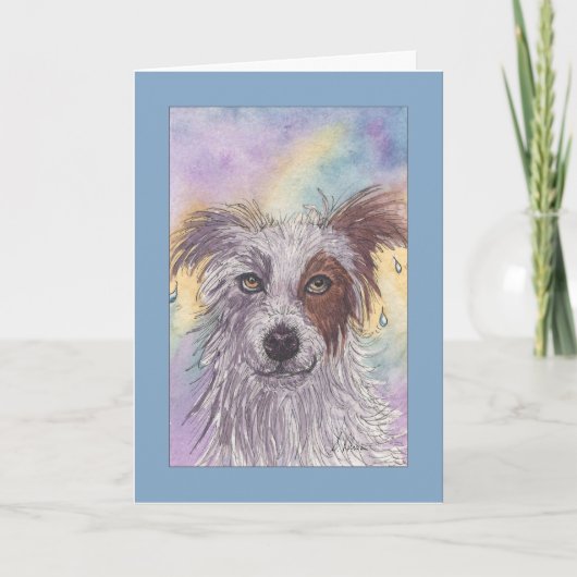 Carte Border collie rouge et blanc, égouttement humide, (Devant)