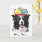 Carte Border collie saluant le jour de l'imbécile de (Fleur jaune)