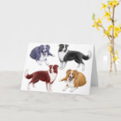 Carte Border Collies (Fleur jaune)