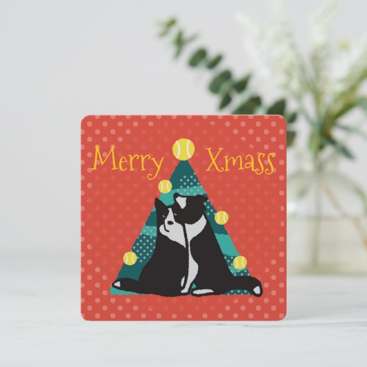 Carte Border collies get a tree with balls (Debout devant)