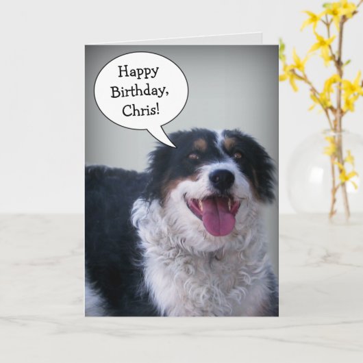 Carte Bordercollie Birthday (Fleur jaune)