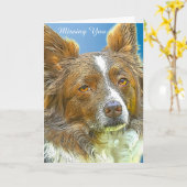 Carte Bordure Collie (Fleur jaune)
