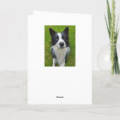 Carte Bordure Collie (Dos)