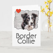 Carte Bordure Collie (Fleur jaune)