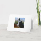 Carte Bordure Collie animal chien animal animal mignon D (Dos)