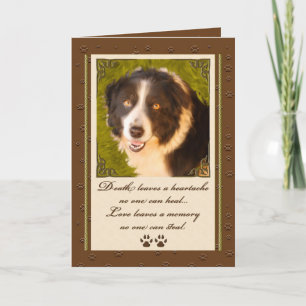 Carte Bordure Collie Animal de compagnie Sympathie Perte