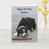 Carte Bordure Collie Chien, Joyeux Anniversaire, personn (Fleur jaune)