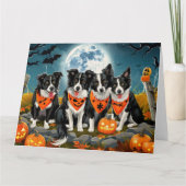 Carte Bordure Collie Halloween Éffrayant (Devant)