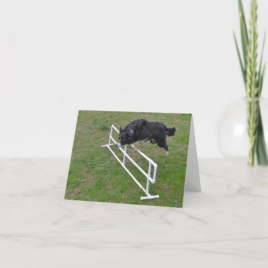 carte - Bordure Collie Jumping (Devant)