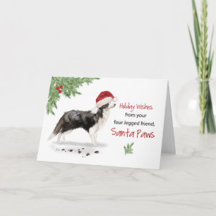 Carte Bordure Collie Noël du chien dans Funny Père Noël