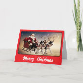 Carte Bordure Collie Reindeer (Devant)