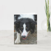 Carte Bordure Collie Stare Chien note personnalisée (Devant)