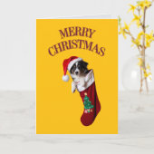 Carte Bordure Collie Stocker Noël (Fleur jaune)